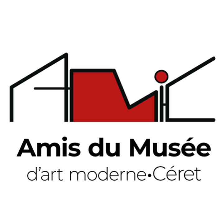 Site web Les Amis du Musée d'art moderne de Céret - Développement par FDX Création Perpignan